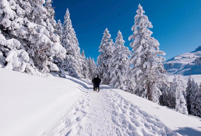 Votre Studio Balneo Bien-Etre A La Montagne Толлон Экстерьер фото